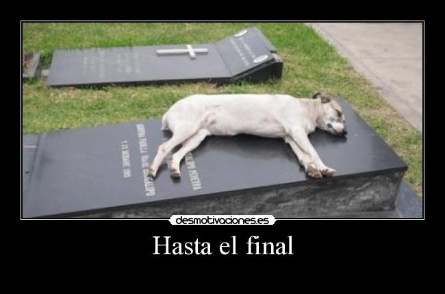 Hasta el final -