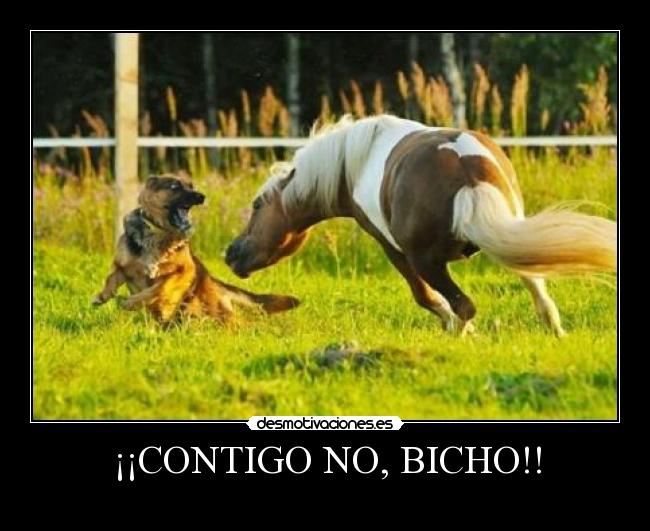 ¡¡CONTIGO NO, BICHO!! - 