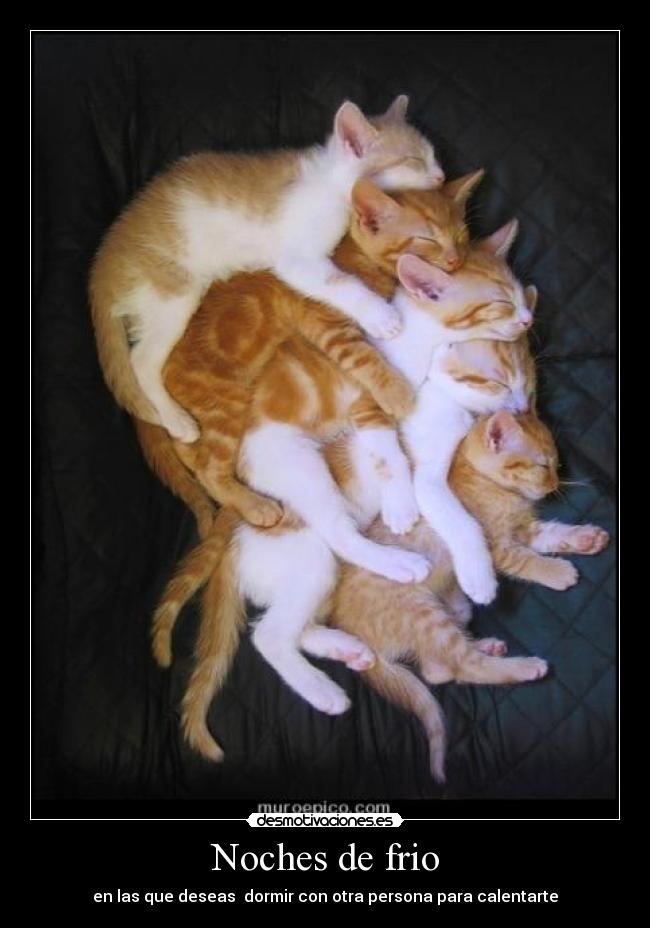 carteles noches frio desmotivaciones