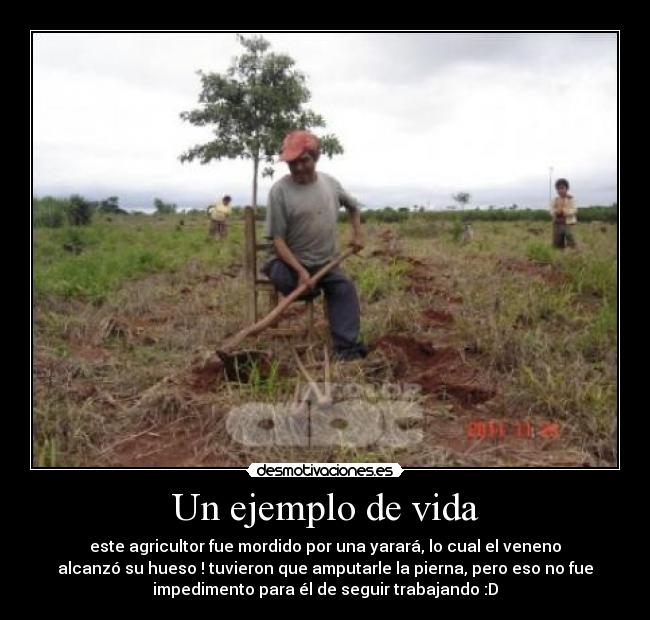 Un ejemplo de vida -