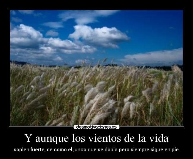 Y aunque los vientos de la vida -