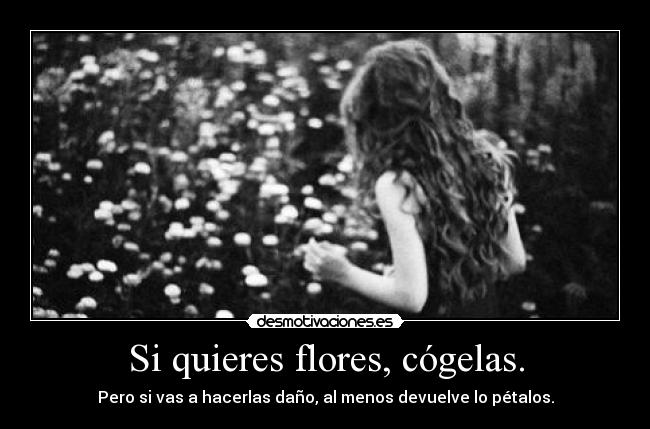 carteles nomiresaqui panoramicas mispensamientosmasprofundos desmotivaciones