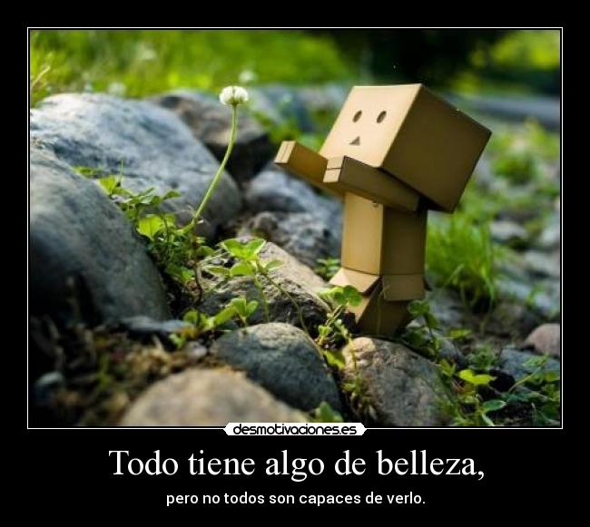 Todo tiene algo de belleza, -