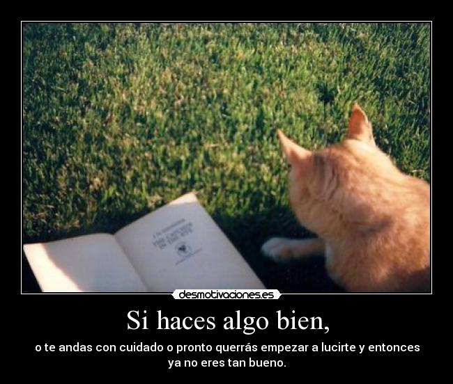 carteles porque pero gusta cuando pones ese plan buffff desmotivaciones