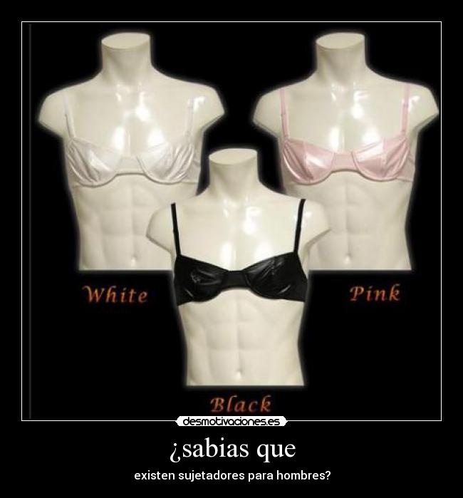 ¿sabias que - existen sujetadores para hombres?