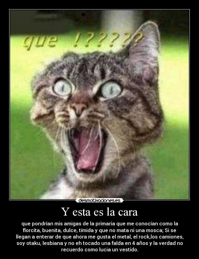 FOTOS SORPRENDIDAS fotos sorprendidas: