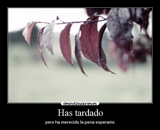 Has tardado -