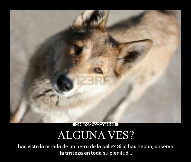 ALGUNA VES? - 