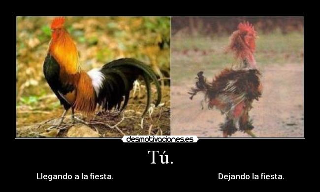 Tú. - Llegando a la fiesta.                                                     Dejando la fiesta.