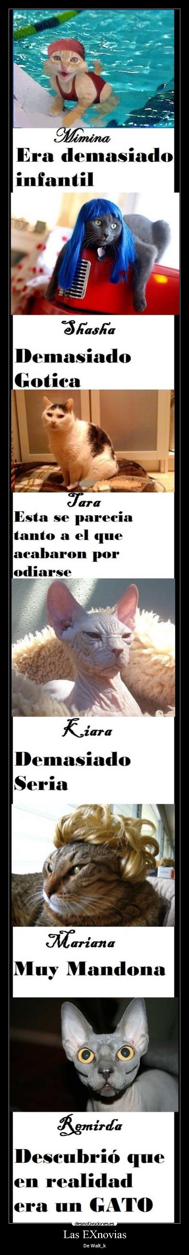 Las EXnovias - De Walt_k