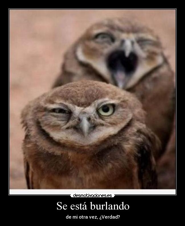 Se está burlando - 