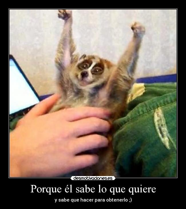 Porque él sabe lo que quiere - 