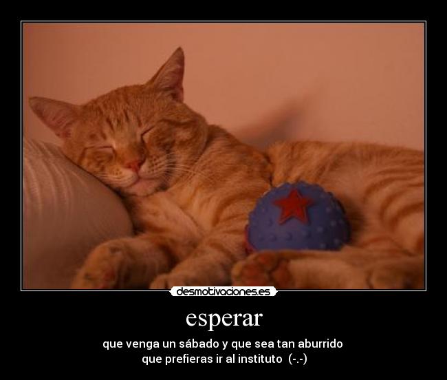 esperar - 