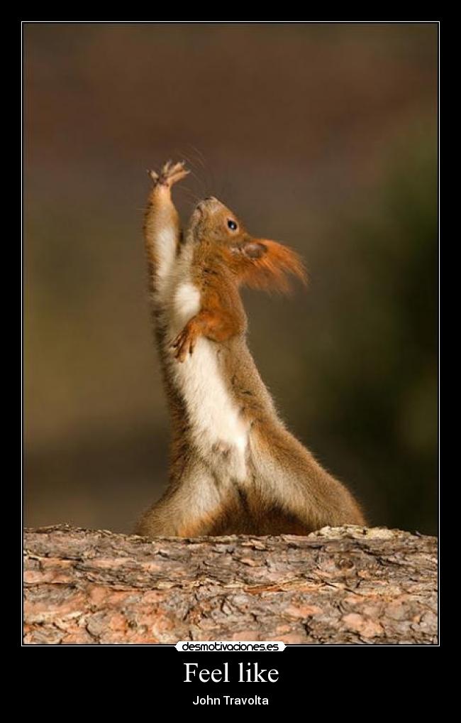 Feel like - John Travolta