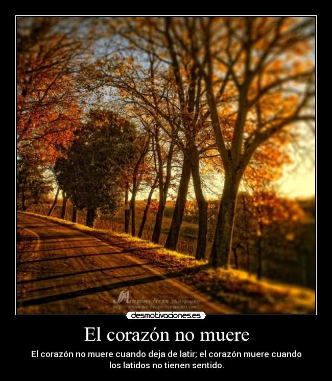 El corazón no muere - El corazón no muere cuando deja de latir; el corazón muere cuando
los latidos no tienen sentido.