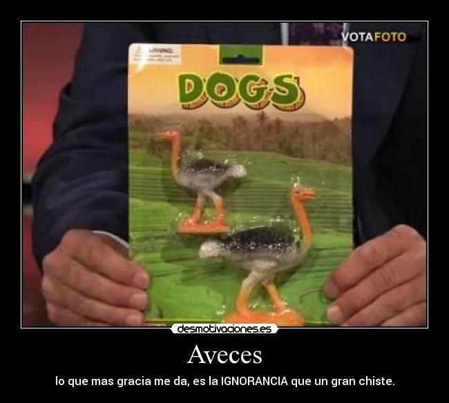 Aveces - lo que mas gracia me da, es la IGNORANCIA que un gran chiste.
