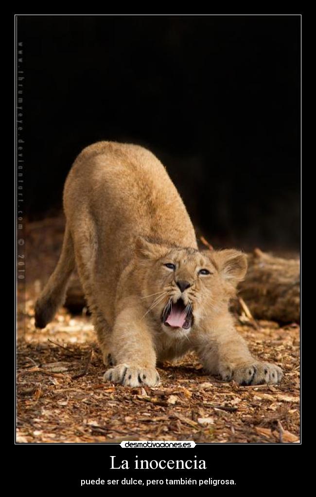 carteles bollicao muchamierda desmotivaciones