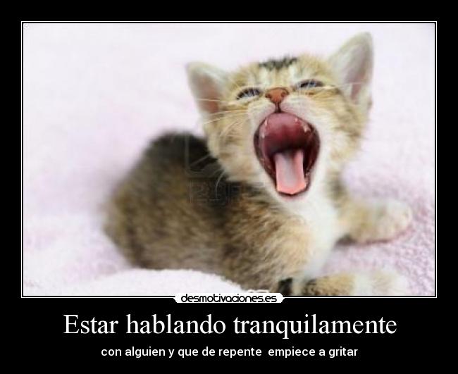 Estar hablando tranquilamente - con alguien y que de repente empiece a gritar