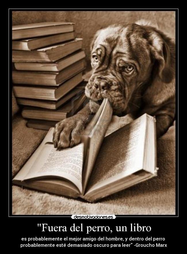 Fuera del perro, un libro - 