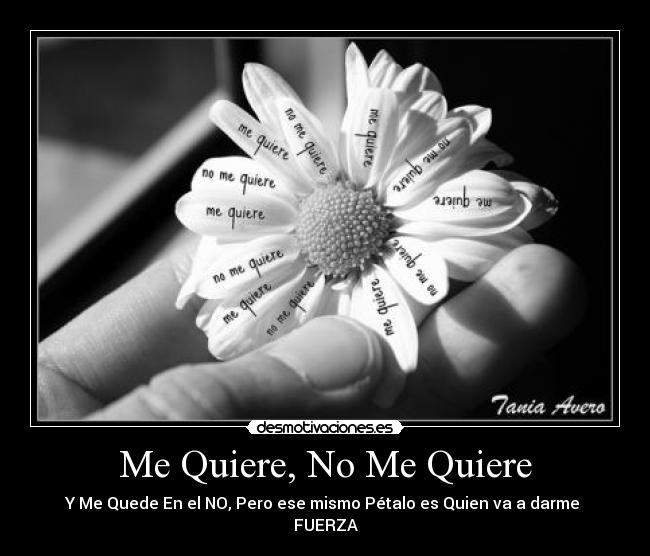 carteles amor amar quiere quiere desmotivaciones