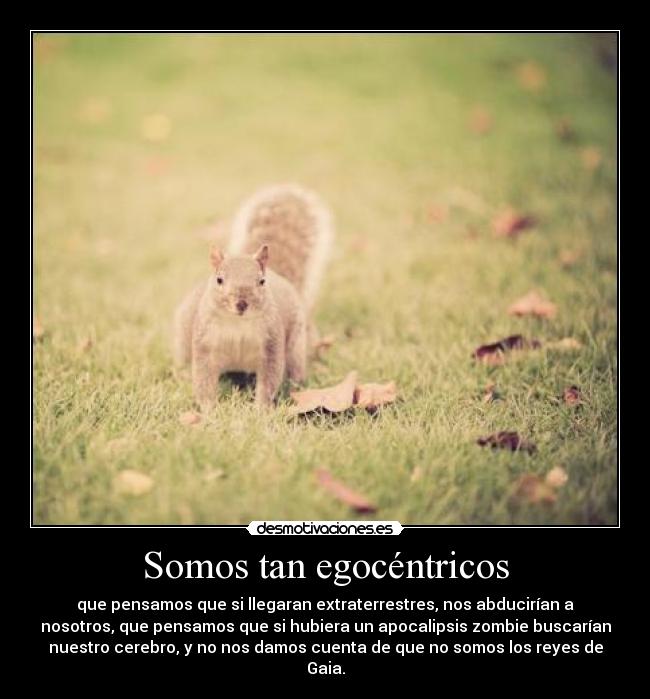 Somos tan egocéntricos - que pensamos que si llegaran extraterrestres, nos abducirían a
nosotros, que pensamos que si hubiera un apocalipsis zombie buscarían
nuestro cerebro, y no nos damos cuenta de que no somos los reyes de
Gaia.