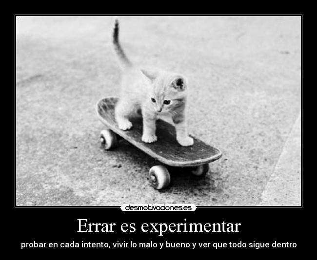 Errar es experimentar - probar en cada intento, vivir lo malo y bueno y ver que todo sigue dentro
