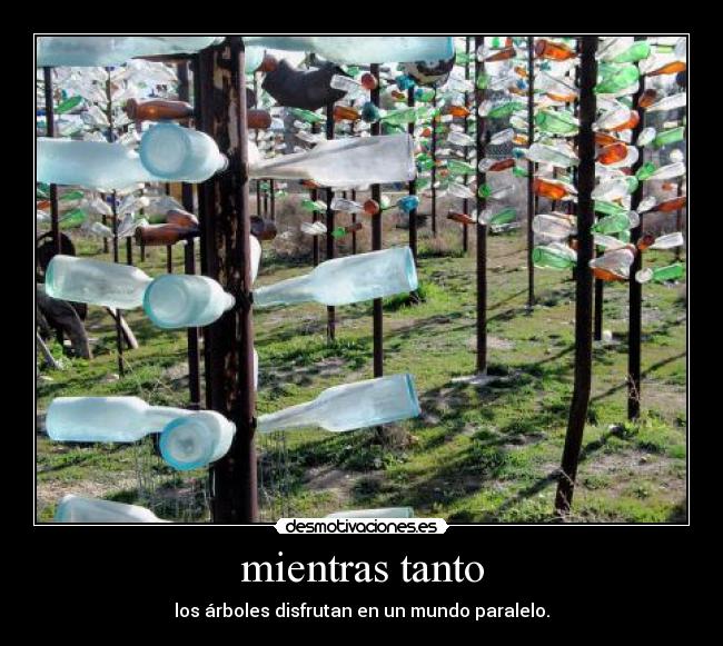 mientras tanto - los árboles disfrutan en un mundo paralelo.
