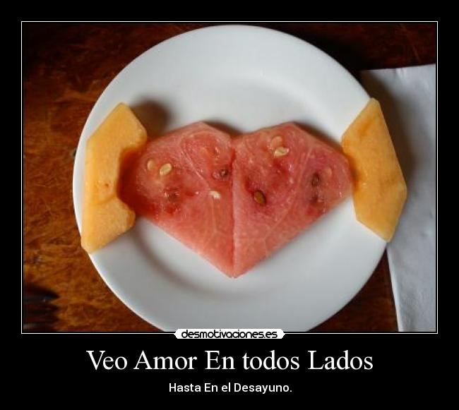 Veo Amor En todos Lados - 