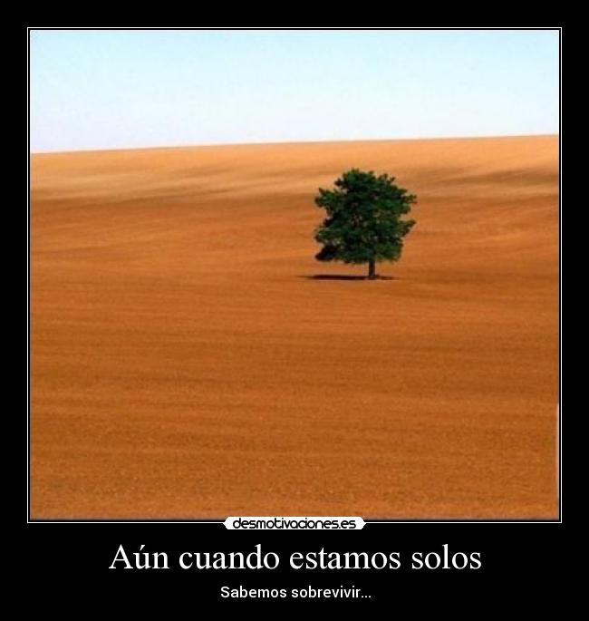 Aún cuando estamos solos -
