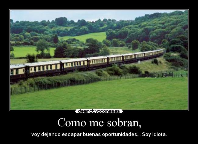 Como me sobran, - voy dejando escapar buenas oportunidades... Soy idiota.