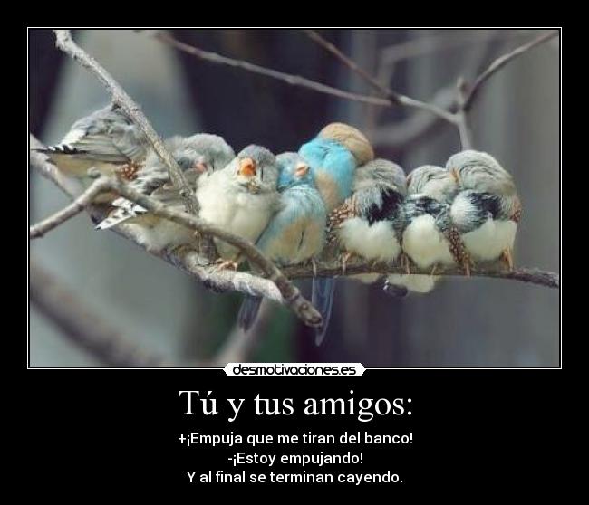 Tú y tus amigos: - +¡Empuja que me tiran del banco!
-¡Estoy empujando!
Y al final se terminan cayendo.