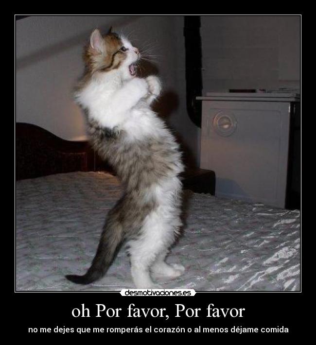 oh Por favor, Por favor -