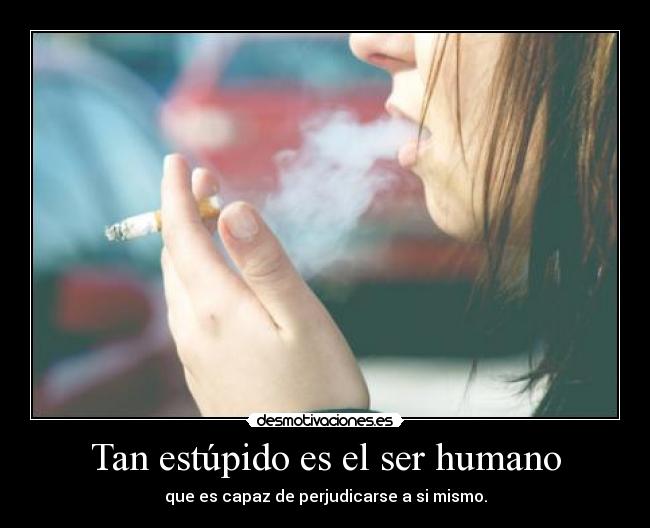 Tan estúpido es el ser humano - 