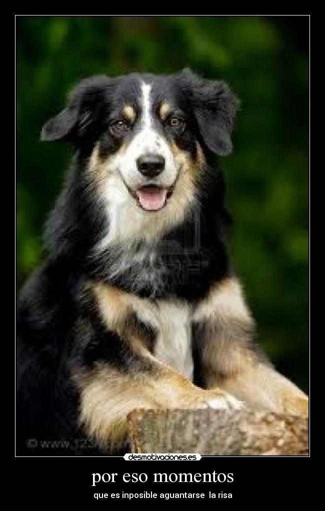 por eso momentos - que es inposible aguantarse la risa
