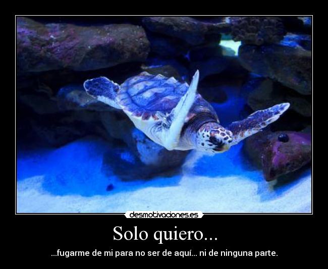 Solo quiero... -