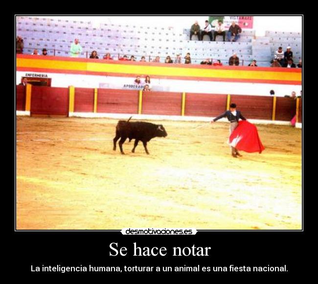Se hace notar - La inteligencia humana, torturar a un animal es una fiesta nacional.