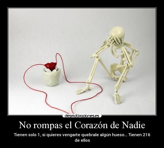 carteles corazon romper corazon nadie tener hueso quebrar 216 desmotivaciones