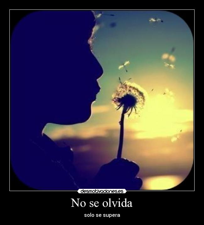 No se olvida - 