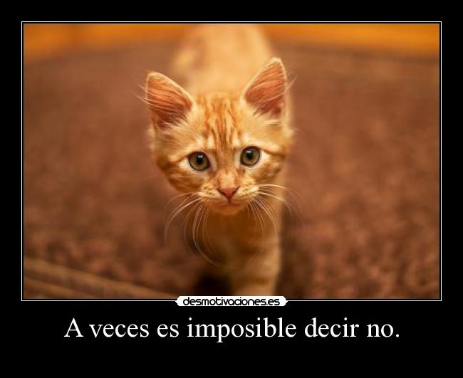 carteles imposible viciadoalcs pongo clanes porque dijo elclanviral nomiresaqui desmotivaciones