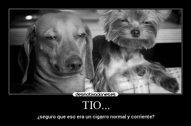 TIO... -