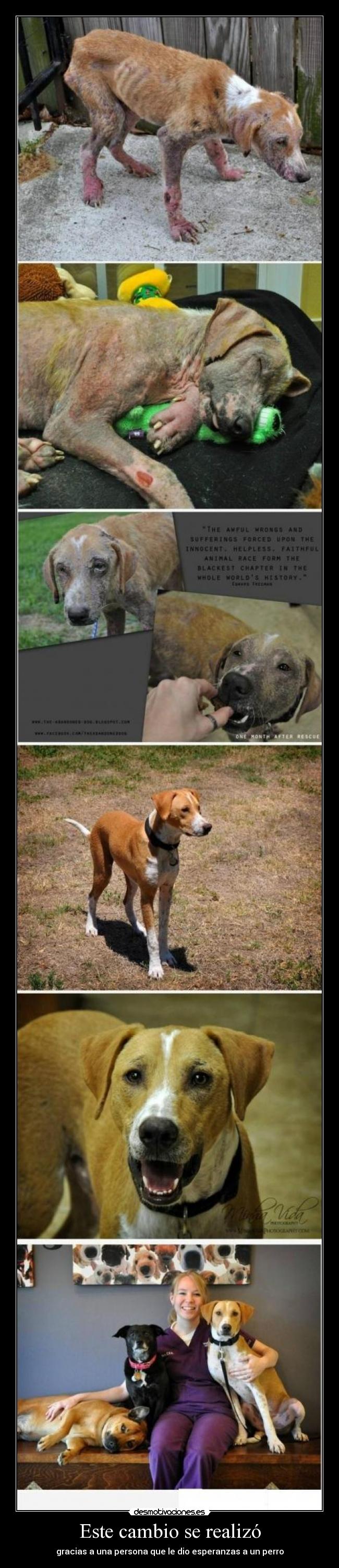 Este cambio se realizó -