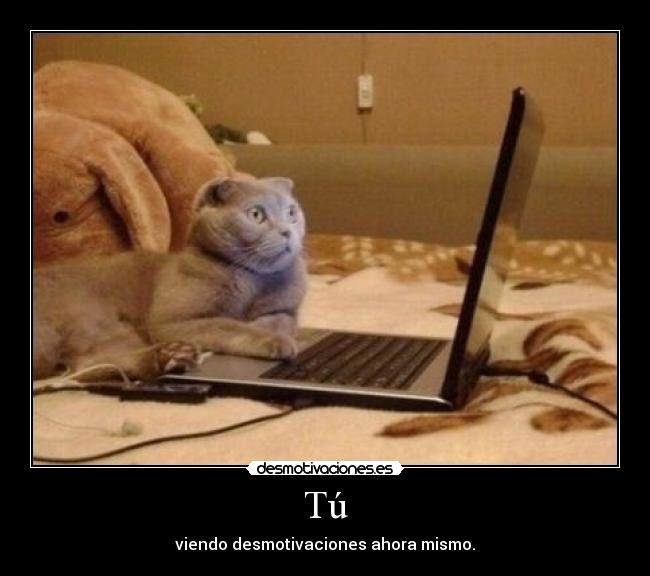 Tú - viendo desmotivaciones ahora mismo.