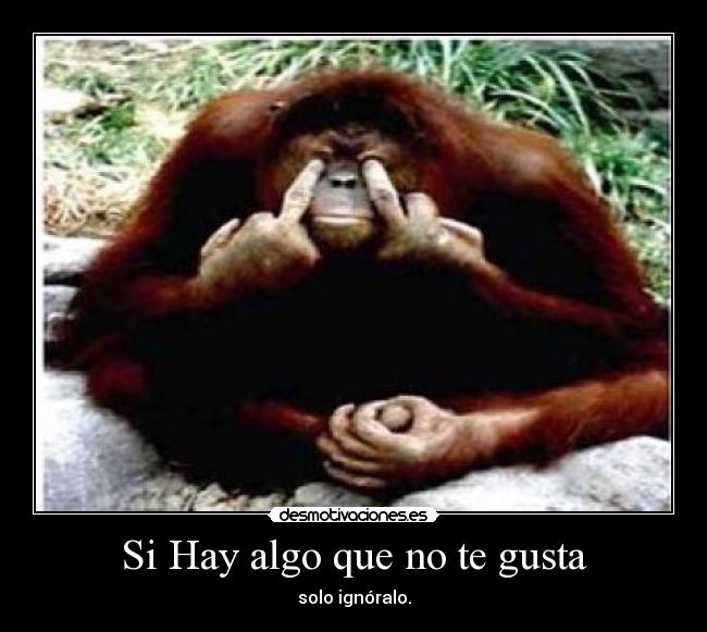 carteles solo ignoralo desmotivaciones