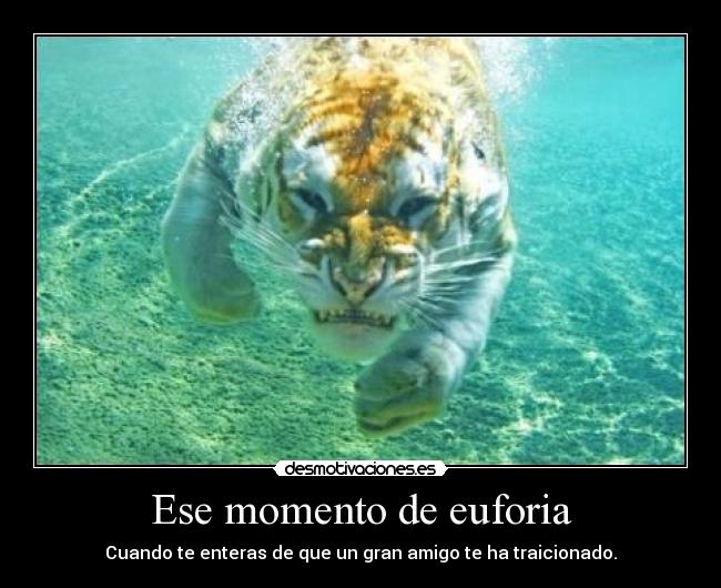 Ese momento de euforia -