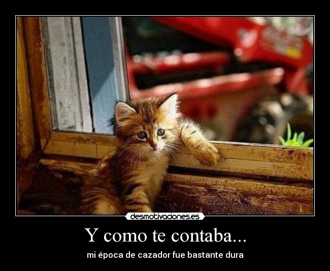 Y como te contaba... -