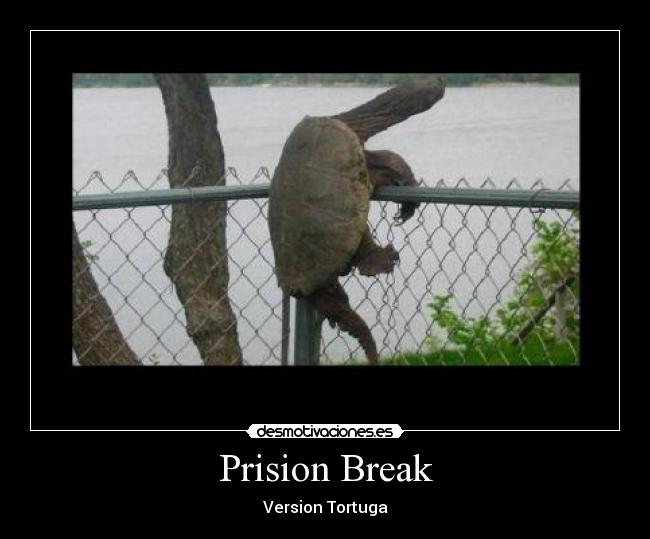 Prision Break -
