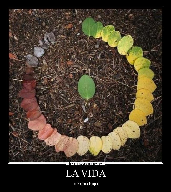 LA VIDA - de una hoja