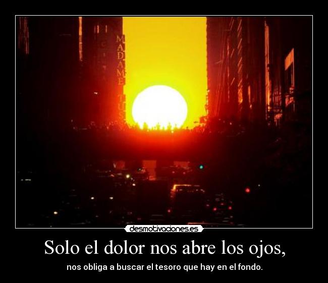Solo el dolor nos abre los ojos, - nos obliga a buscar el tesoro que hay en el fondo.