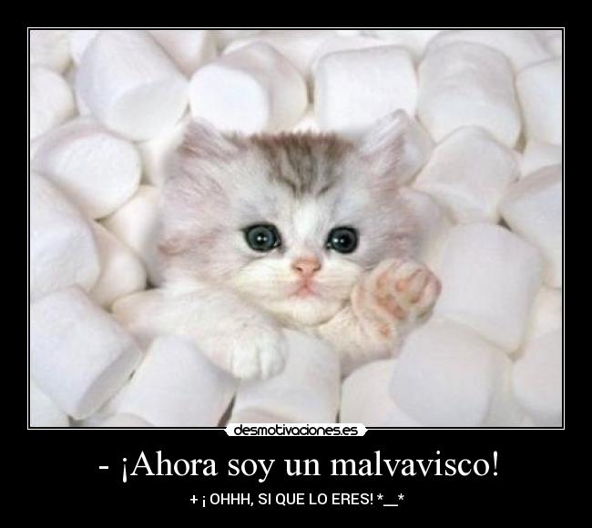 - ¡Ahora soy un malvavisco! - + ¡ OHHH, SI QUE LO ERES! *__*