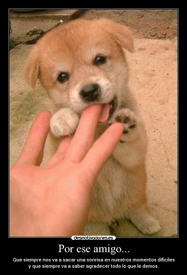 Por ese amigo... -